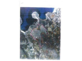 Land in Mgarr