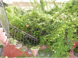 Townhouse in Sliema