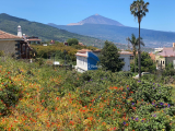 finca For Sale in La Matanza de Acentejo, Santa Cruz Tenerife, Spain