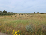 Land For Sale in Frenaros, Famagusta, Cyprus