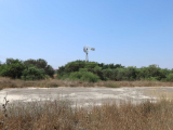 Land For Sale in Frenaros, Famagusta, Cyprus