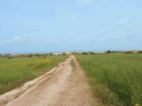 Land For Sale in Paralimni, Famagusta, Cyprus