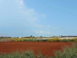 Land For Sale in Deryneia, Famagusta, Cyprus