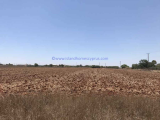 Land For Sale in Avgorou, Famagusta, Cyprus