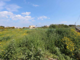 Land For Sale in Paralimni, Famagusta, Cyprus