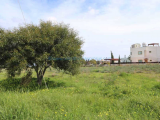 Land For Sale in Paralimni, Famagusta, Cyprus