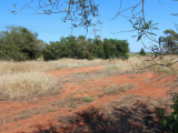 Land For Sale in Avgorou, Famagusta, Cyprus