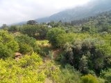 NEARLY 2 DONUMS OF PRIME LOCATION LAND IN LAPTA, KYRENIA