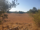 Land For Sale in Ses Salines, Ses Salines, Spain