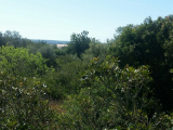 Land For Sale in Colònia de Sant Jordi, Illes Balears, Spain