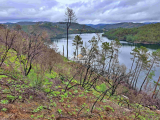 land For Sale in Tomar Santarém Portugal