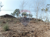 land For Sale in Braga, Braga, Portugal