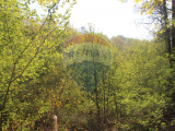 land For Sale in Fafe, Braga, Portugal