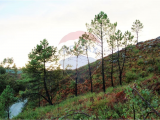 land For Sale in Fafe, Braga, Portugal