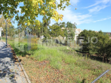 Plot of land near the Albufeira do Castelo do Bode.