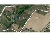 Rustic land for sale, with olive trees