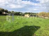 Land with approved project, close to good access and Constância.
