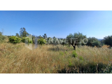 Land for construction with 976 m2, 7km from the City of Tomar.