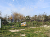 Rustic land with 3,060 m2, well and barbecue, near the city of Tomar.