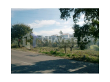 Rustic land with 6720m2, near Tomar.