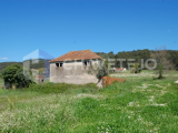 Agricultural property with 8 hectares, near Ferreira do Zêzere.