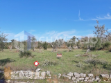 Land with Olive grove, in floors, with no possibility of construction