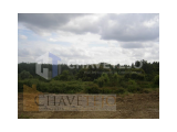 Land with feasibility of construction, located in the parish of Olalhas.