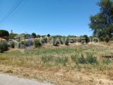 Land with 2850m2 with possibility of construction, located 5 km from Tomar.