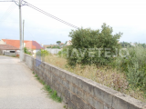 Land near the town with rural construction.