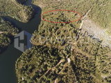 Two plots of forest land with a total of 15680 square meters facing the Carril Lake in Tomar, Centra