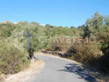 Plot of land with 23.680 sqm, 12 km from Tomar