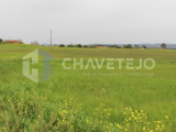 Land with 6.8 hectares, situated 5 minutes from Tomar.