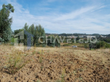 Land for sale 7 km from Tomar