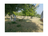 Land with feasibility of construction, located 4minutes from the city of Tomar.