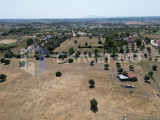 Farm with five hectares of land for sale near the city of Tomar.