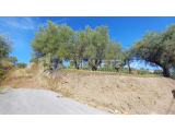 Land without construction feasibility, with 5.700m2 and well, near the Tomar City.