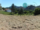 Land For Sale in Ferreira do Zêzere, Santarém, Portugal