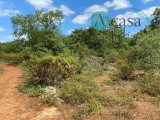 Land For Sale in Ferreira do Zêzere, Santarém, Portugal