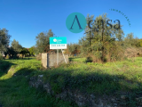 Land For Sale in Ferreira do Zêzere, Santarém, Portugal