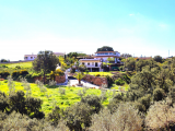 Finca For Sale in Entrerrios, Málaga, Spain