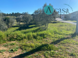 Land For Sale in Tomar, Santarém, Portugal