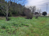 Constructible Plot Of About 795 M2 Located 15 Minutes From Beziers, In A Dynamic Village And Not In 