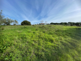 Land For Sale in Tomar, Santarém, Portugal