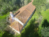 A beautiful farm with great views and full of potencial for sale very near to Tomar