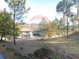 land For Sale in Celorico de Basto, Braga, Portugal