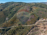 land For Sale in Celorico de Basto, Braga, Portugal