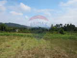 land For Sale in Celorico de Basto, Braga, Portugal
