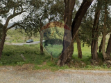 land For Sale in Caminha, Viana do Castelo, Portugal