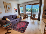 Studio apartment with south-facing balcony, views of Mont Blanc, communal swimming pool and walking 