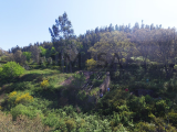 land For Sale in Monchique Faro Portugal